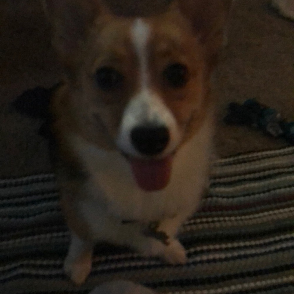 Meet your Posher, Kalli